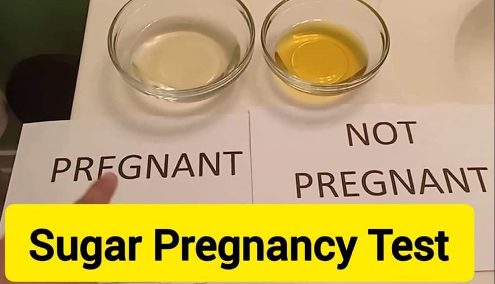 Pregnancy Test at Home with Sugar 19 Decoding the DIY Trend
